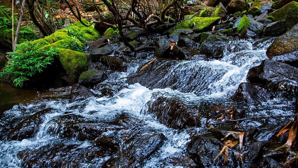 20 Best Tourist Places In Palakkad 9 Meenvallam Waterfalls Best Tourist Places In Palakkad