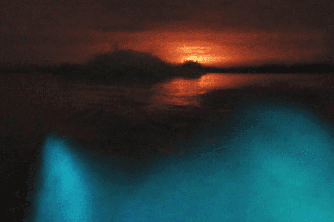 20 Best Mexico Beach Tourist 16 Playa La Punta, Oaxaca Best Mexico Beach Tourist