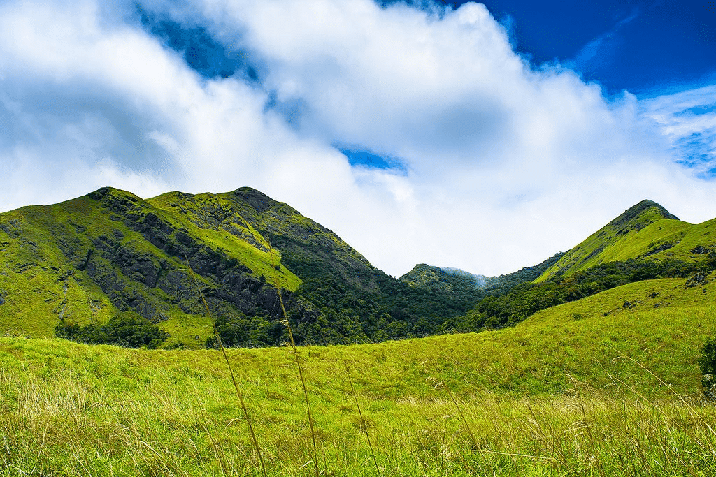 20 Best Tourist Places In December: Top December Getaways 7 Wayanad, Kerala Best Tourist Places In December