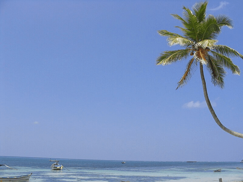 20 Best Tourist Places In Lakshadweep: Pristine Beaches 5 Kavaratti Best Tourist Places In Lakshadweep