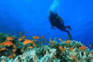 20 Best Tourist Places In Lakshadweep: Pristine Beaches 9 Water Sports in Lakshadweep Islands Best Tourist Places In Lakshadweep