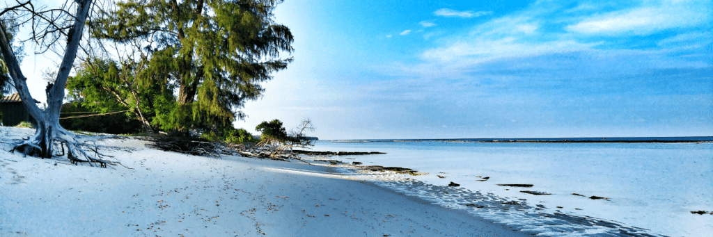 20 Best Tourist Places In Lakshadweep: Pristine Beaches 21 Thinnakara Island Best Tourist Places In Lakshadweep
