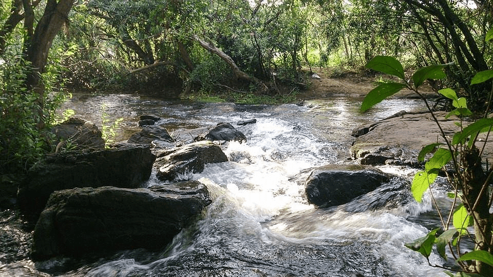 20 Best Tourist Place In Ernakulam: Ernakulam's Top Attractions 6 Paniely Poru Best Tourist Place In Ernakulam