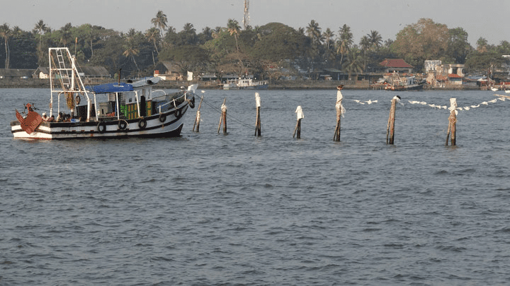 20 Best Tourist Place In Ernakulam: Ernakulam's Top Attractions 8 Munambam Beach Best Tourist Place In Ernakulam