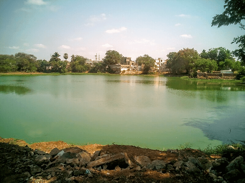 20 Best Tourist Place In Ernakulam: Ernakulam's Top Attractions 13 Thenali Temple Best Tourist Place In Ernakulam