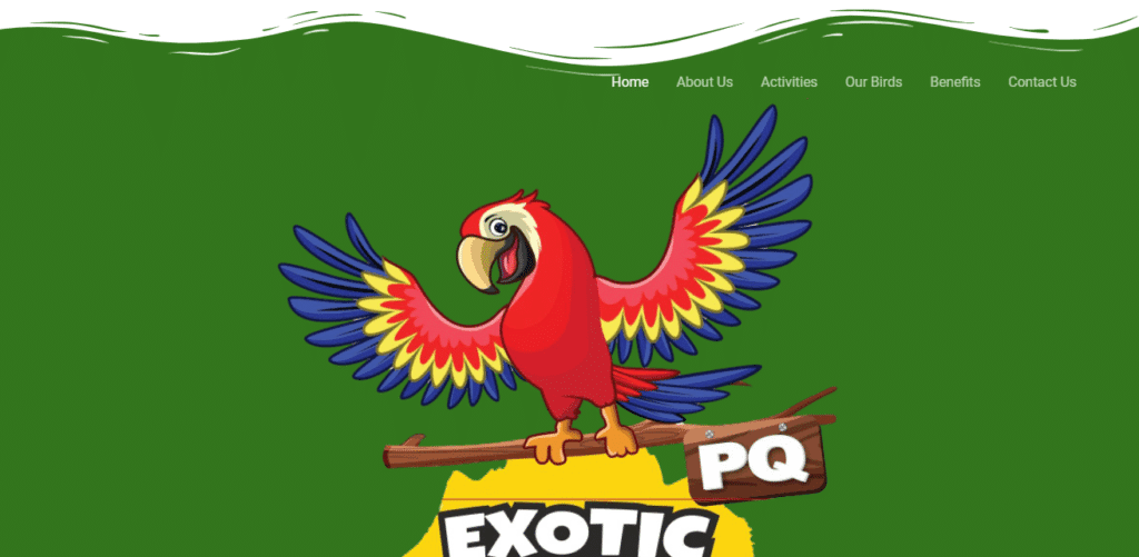 20 Best Tourist Place In Ernakulam: Ernakulam's Top Attractions 16 PQ Exotic Birds Park Best Tourist Place In Ernakulam