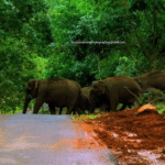 20 Best Tourist Place In Ernakulam: Ernakulam's Top Attractions