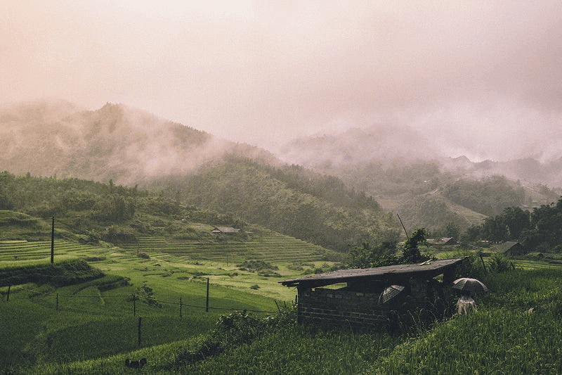 20 Best Tourist Place In Ernakulam: Ernakulam's Top Attractions 20 Monsoon Taxis Best Tourist Place In Ernakulam