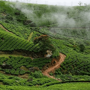 20 Best Tourist Place In Ernakulam: Ernakulam's Top Attractions 21 Jayalakshmi Best Tourist Place In Ernakulam