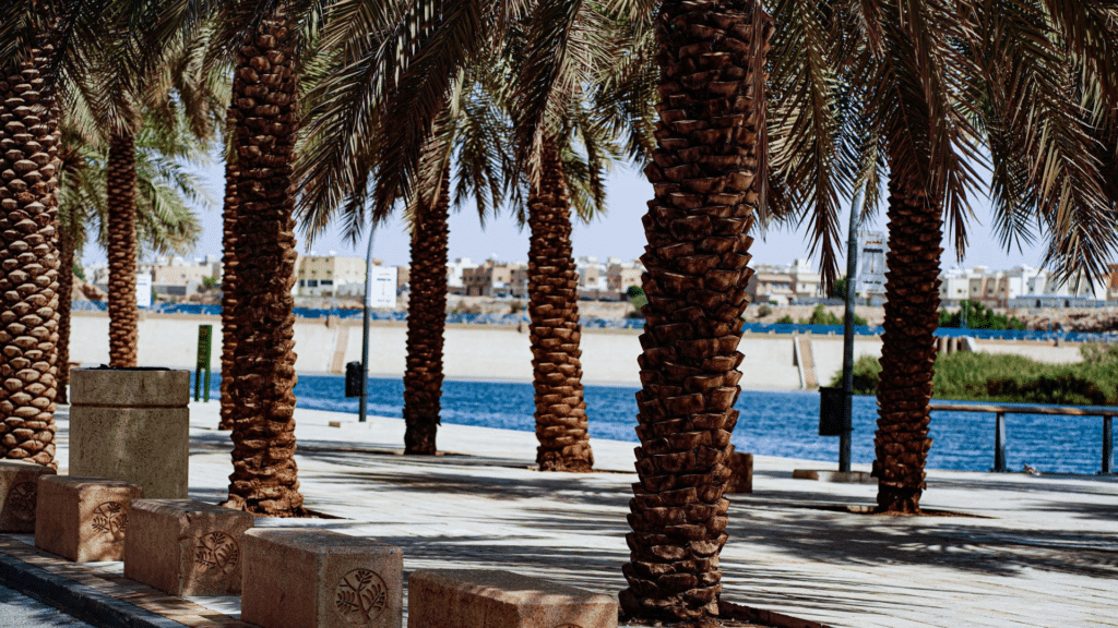 20 Best Tourist Places In Riyadh 16 Wadi Namar Best Tourist Places In Riyadh