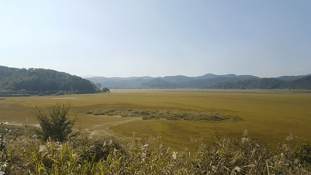 20 Best Place To Stay In Korea For Tourist 7 Upo Marsh Best Place To Stay In Korea For Tourist