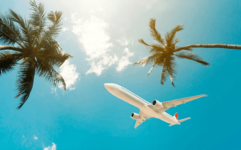 19 Best Flight Booking Website In Poland 13 Fly.pl Best Flight Booking Website In Poland