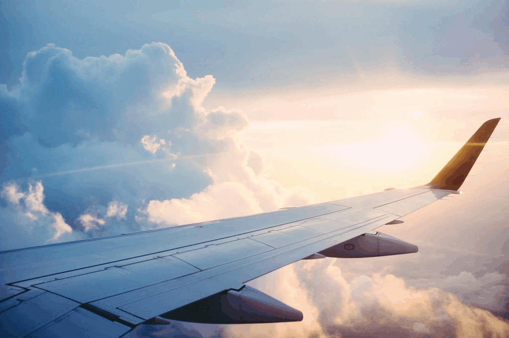 Use Flight Alerts