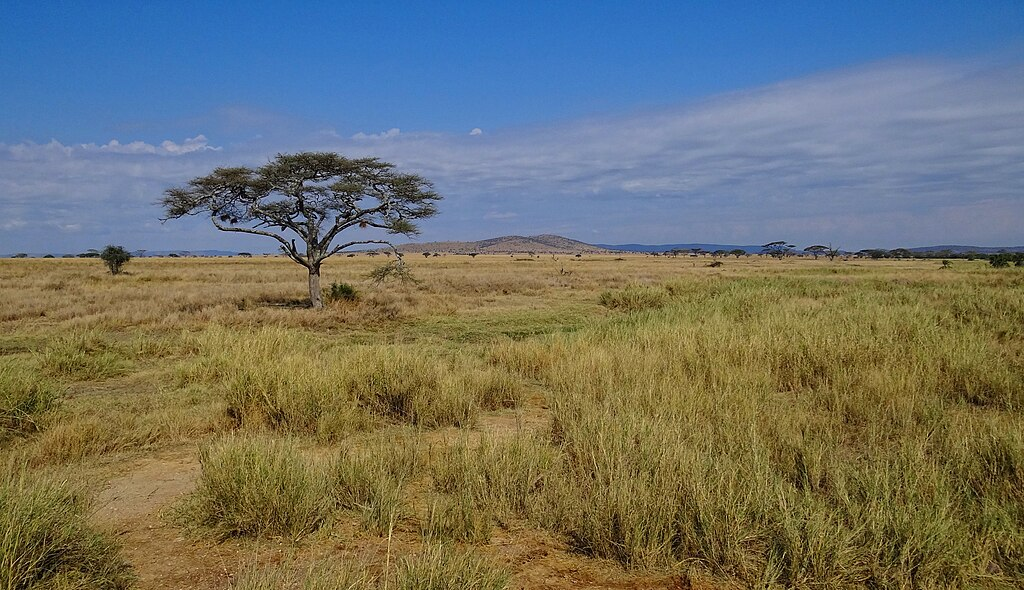 Serengeti National Park, Tanzania