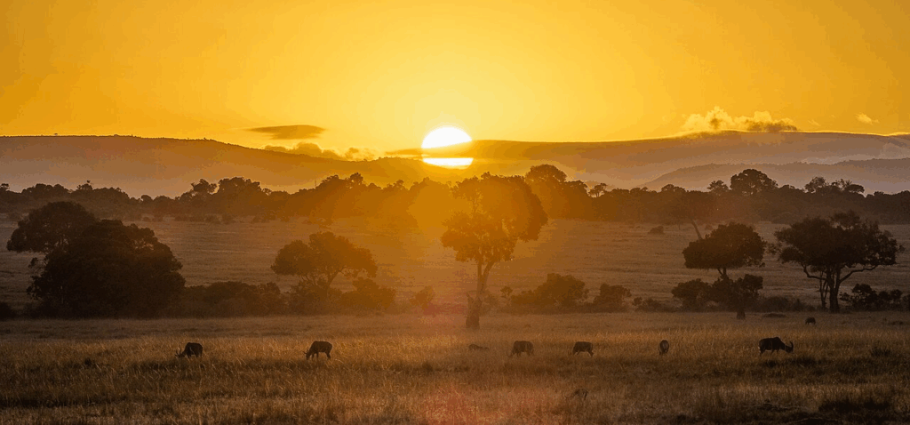 Maasai Mara, Kenya