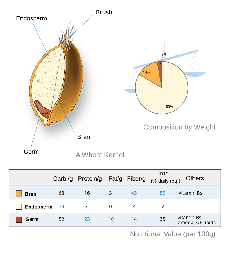 Whole Grains