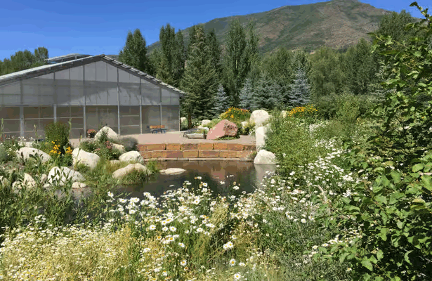 10 Best Places To Travel For Thanksgiving​