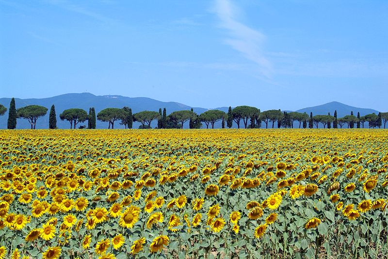 Tuscany