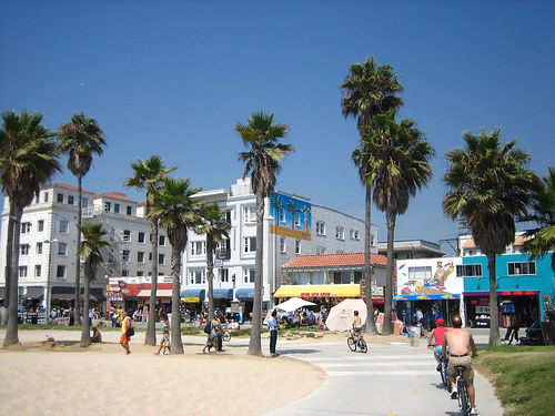 10 Best Beaches in California – Top Coastal Destinations 5 Venice Beach