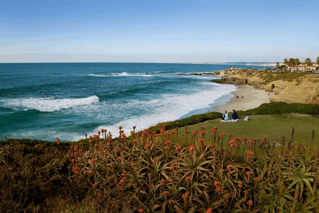 10 Best Beaches in California – Top Coastal Destinations 9 La Jolla Shores