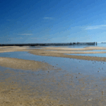 10 Best Beaches in Texas: Top Coastal Spots to Visit​
