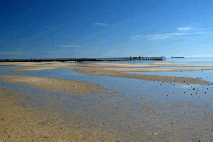 10 Best Beaches in Texas: Top Coastal Spots to Visit​