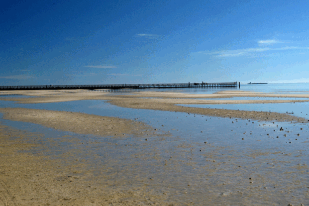 10 Best Beaches in Texas: Top Coastal Spots to Visit​