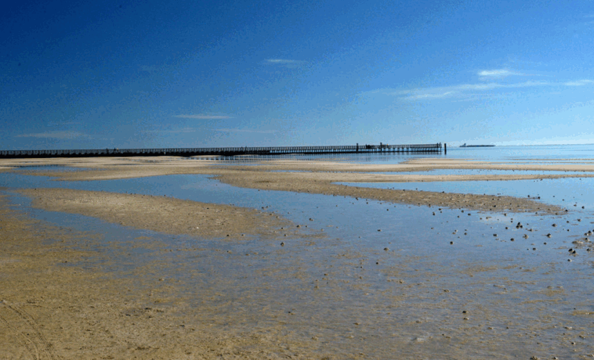 10 Best Beaches in Texas: Top Coastal Spots to Visit​