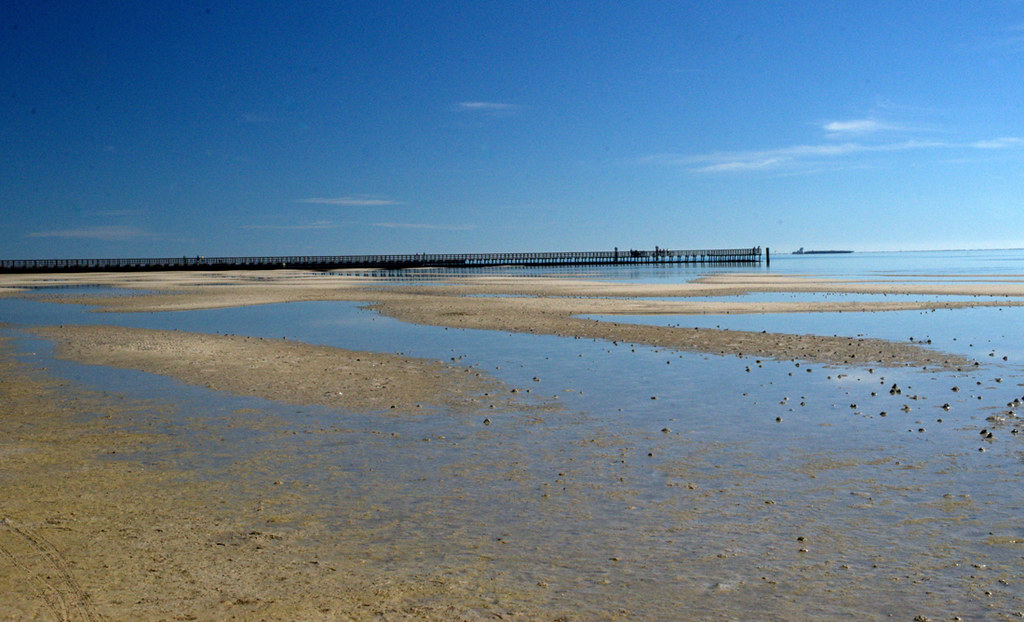 10 Best Beaches in Texas: Top Coastal Spots to Visit​