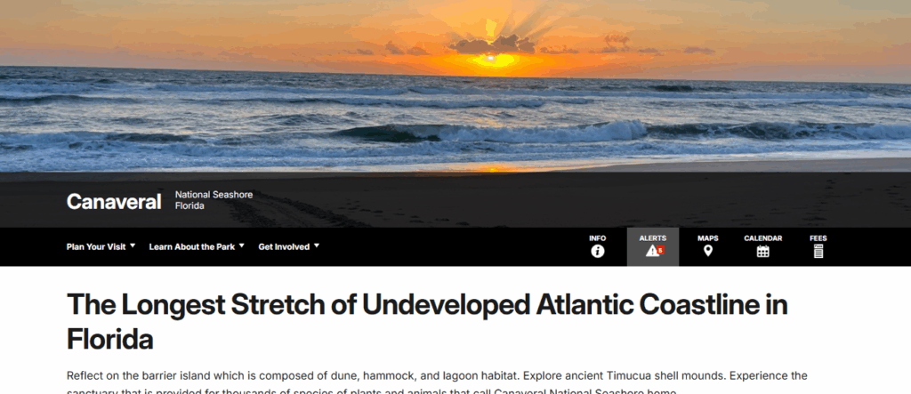 10 Best Beaches Near Orlando: Top Sun, Sand & Surf Spots 9 Canaveral National Seashore