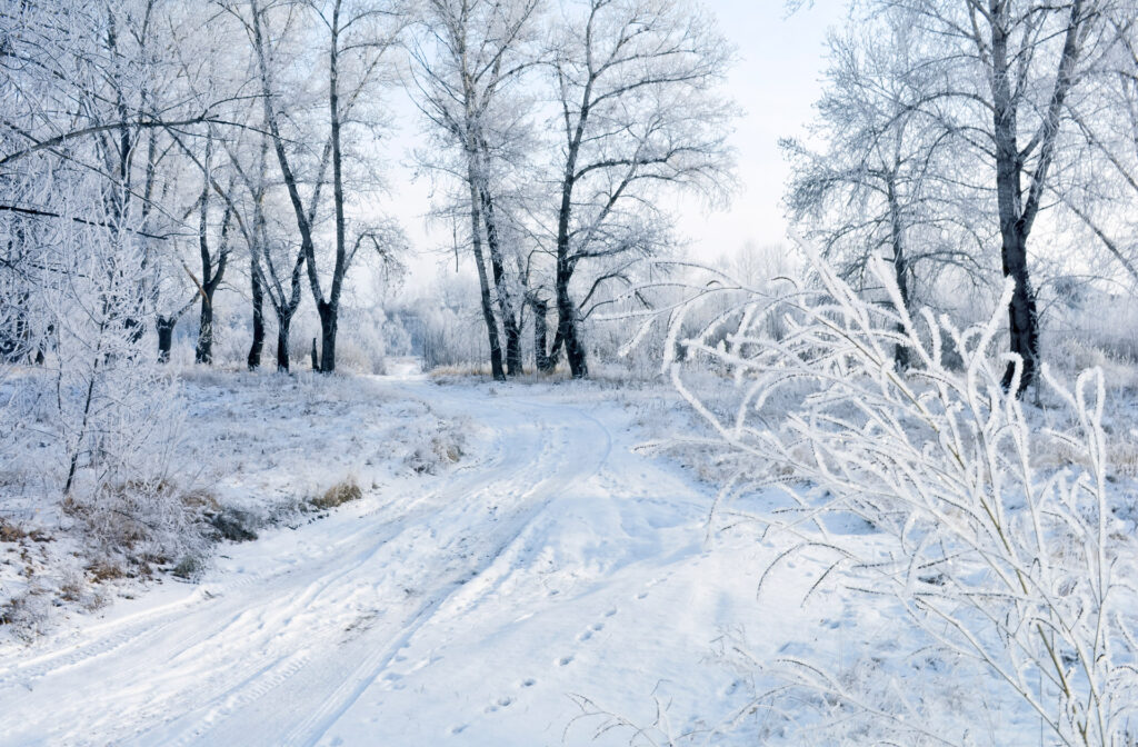 Winter: December to February