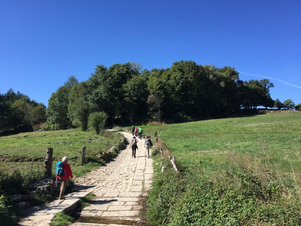Pilgrim’s Path