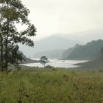 10 Best Wildlife Safari Trip Destinations In India