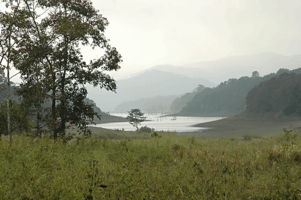 10 Best Wildlife Safari Trip Destinations In India