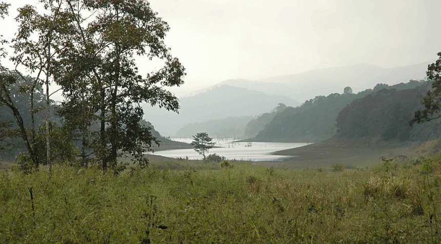 10 Best Wildlife Safari Trip Destinations In India
