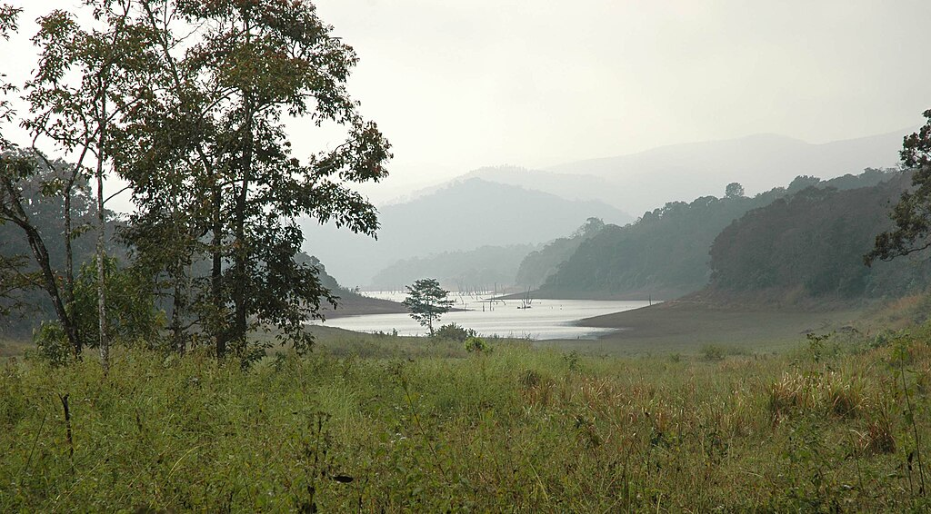 10 Best Wildlife Safari Trip Destinations In India 9 Periyar Wildlife Sanctuary, Kerala