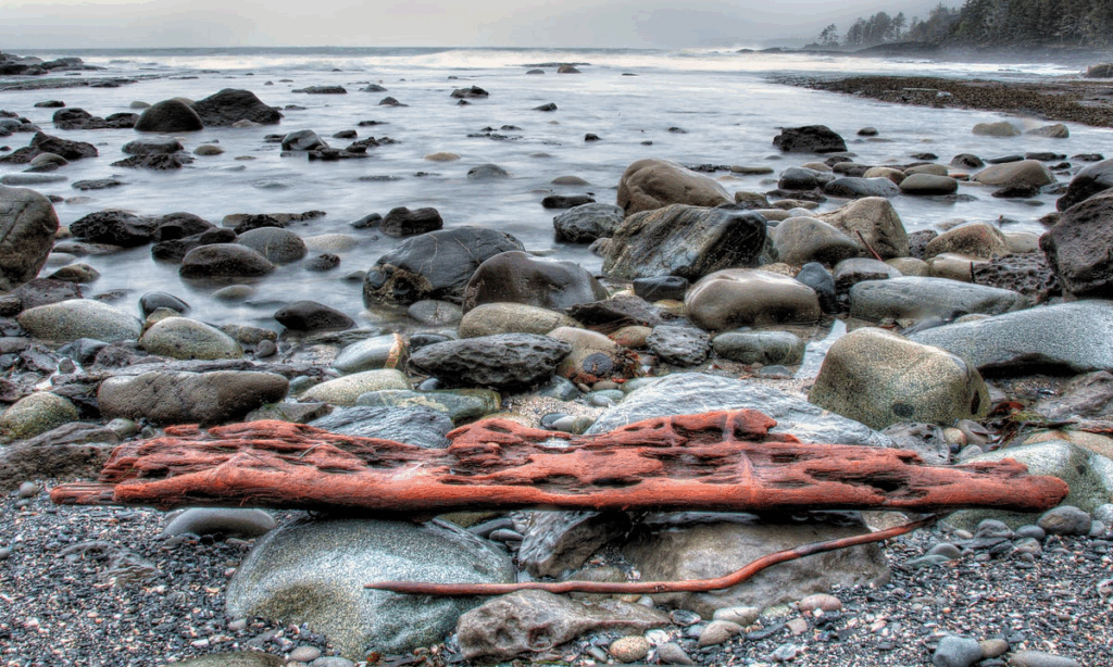 Diverse Coastal Wonders