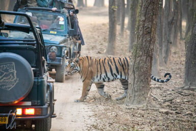 Jaipur – Ranthambore – Bundi – Kota – Chittorgarh