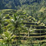 Triplolo: Best Travel Blog & Review Platform 71 image 1053