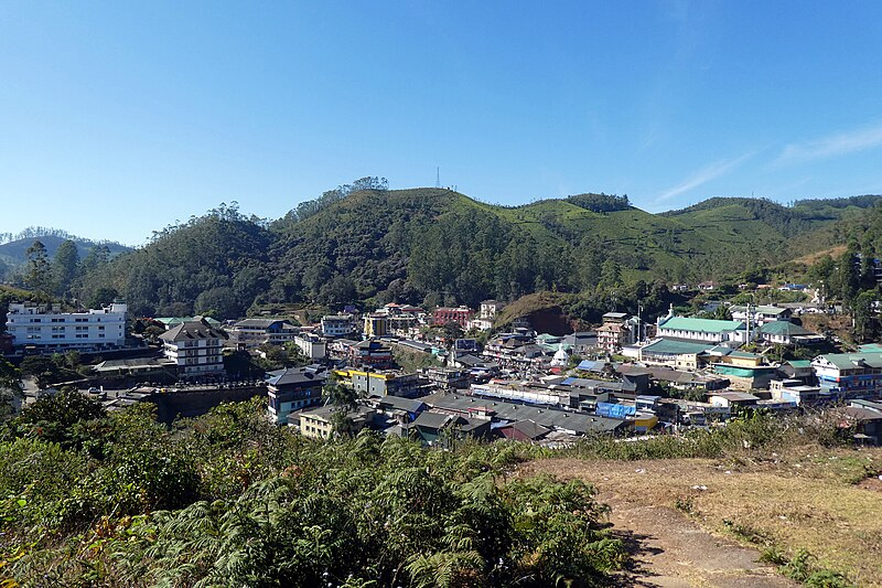 10 Best Winter Honeymoon Destinations In India 2025 7 Munnar, Kerala