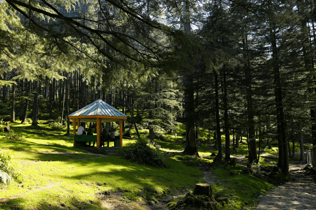 10 Best Ayurveda Wellness Destinations In India 8 Vana Retreat, Dehradun