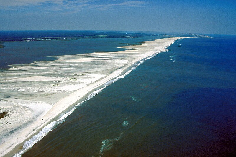9 Best Beaches in Virginia: Top Spots for Sun & Fun 5 Assateague Island