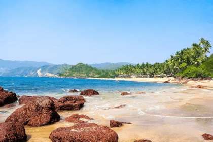 10 Best Eco-Tourism Trip Ideas in India State-wise