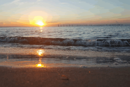 9 Best Beaches in Virginia: Top Spots for Sun & Fun