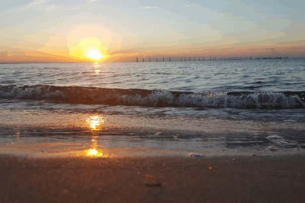 9 Best Beaches in Virginia: Top Spots for Sun & Fun