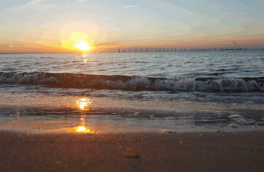 9 Best Beaches in Virginia: Top Spots for Sun & Fun