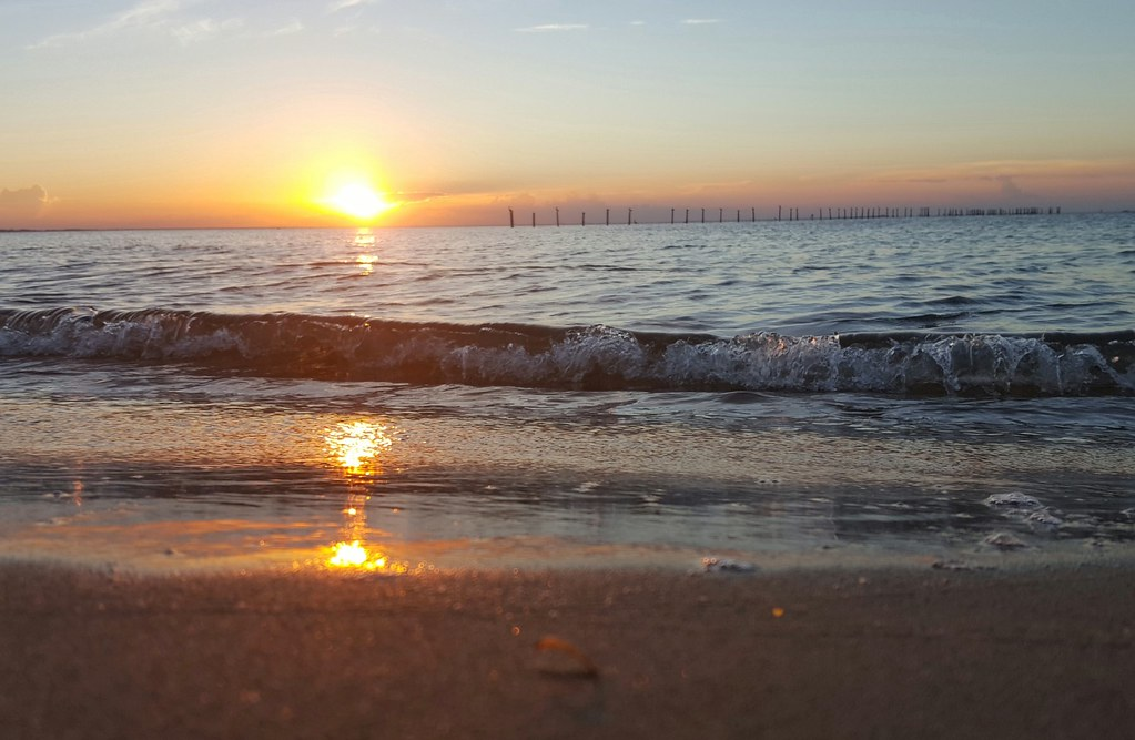 9 Best Beaches in Virginia: Top Spots for Sun & Fun 8 First Landing State Park