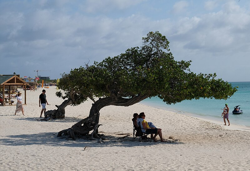 Eagle Beach, Aruba