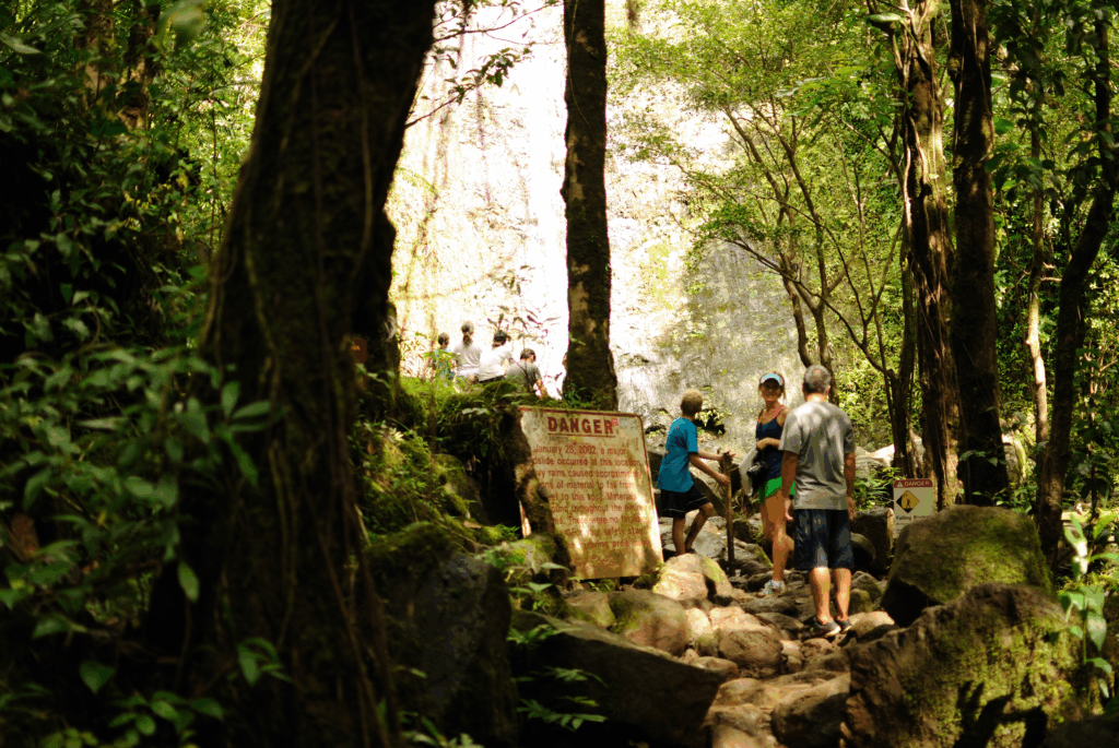 Hike Manoa Falls Trail