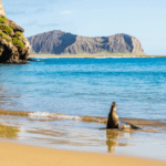 Mumbai to Lisbon Flight Price: Affordable Fares & Booking Tips